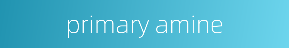 primary amine的同义词