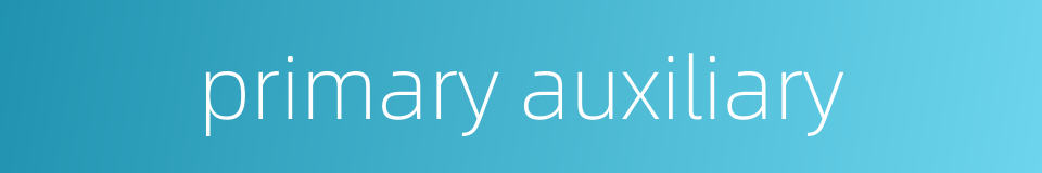 primary auxiliary的同义词