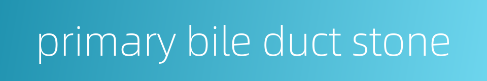 primary bile duct stone的同义词