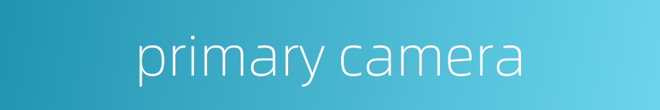 primary camera的同义词