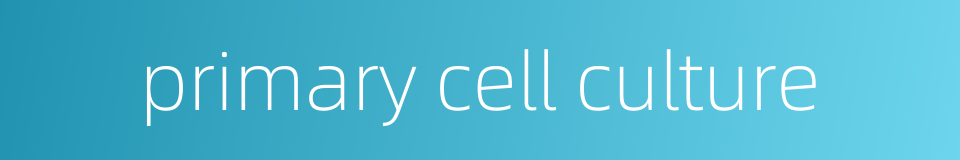primary cell culture的同义词