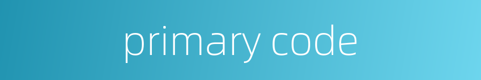 primary code的同义词