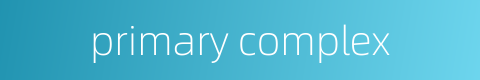 primary complex的同义词