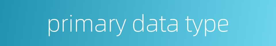 primary data type的同义词