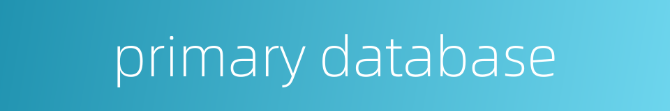 primary database的同义词