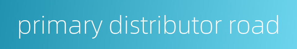 primary distributor road的同义词