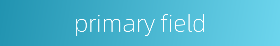 primary field的同义词