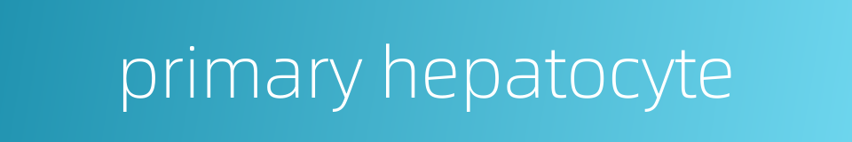 primary hepatocyte的同义词
