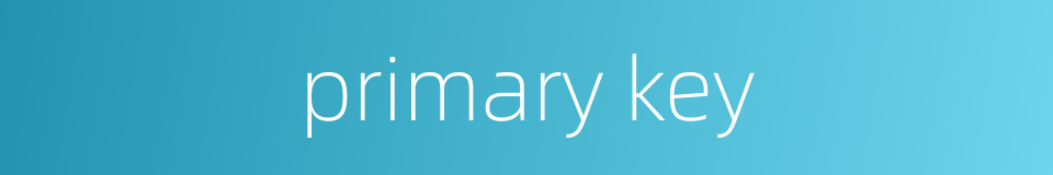 primary key的同义词