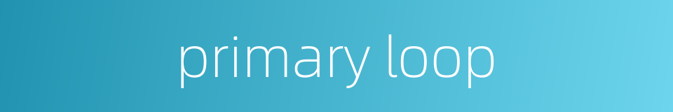 primary loop的同义词