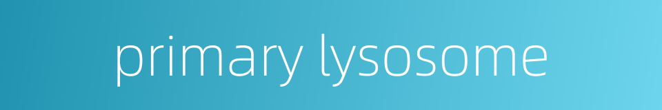 primary lysosome的同义词