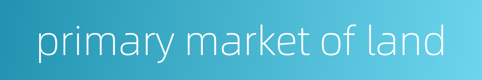 primary market of land的同义词