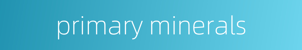 primary minerals的同义词
