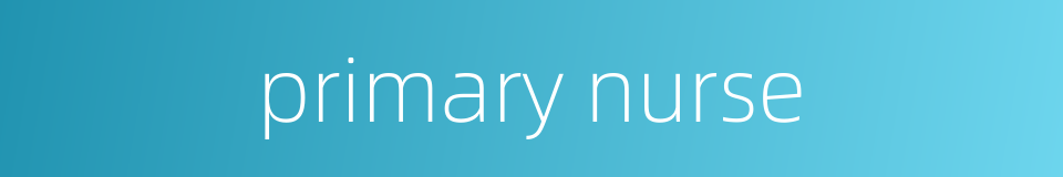 primary nurse的同义词