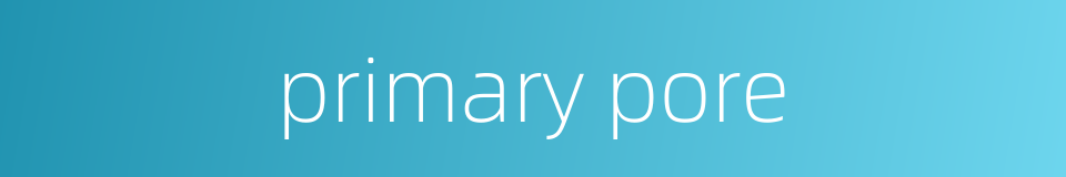 primary pore的同义词