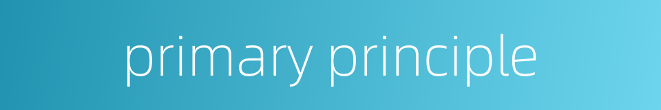 primary principle的同义词