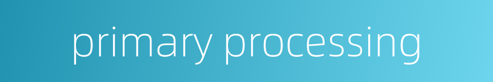 primary processing的同义词