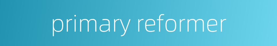 primary reformer的同义词