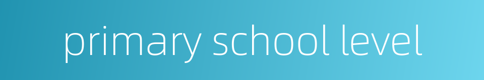 primary school level的同义词
