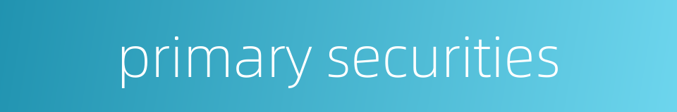 primary securities的同义词