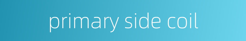 primary side coil的同义词
