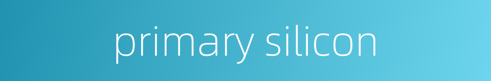 primary silicon的同义词