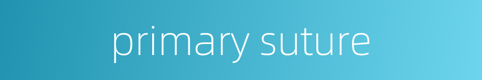 primary suture的同义词