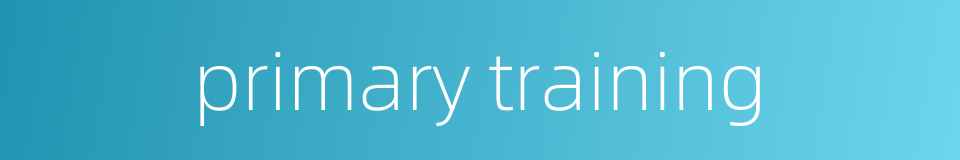 primary training的同义词
