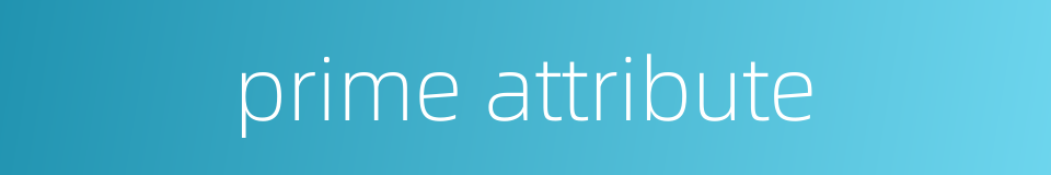prime attribute的同义词