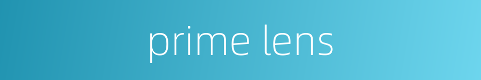 prime lens的同义词