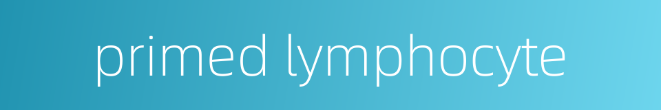 primed lymphocyte的同义词
