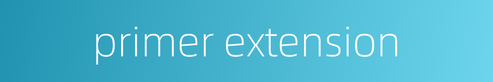 primer extension的同义词
