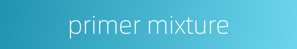 primer mixture的同义词