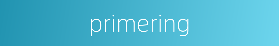 primering的同义词