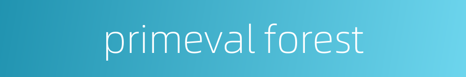 primeval forest的同义词