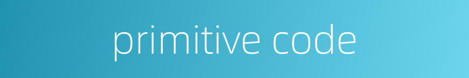 primitive code的同义词
