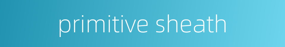 primitive sheath的同义词