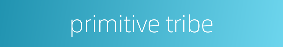primitive tribe的同义词