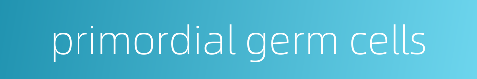 primordial germ cells的同义词