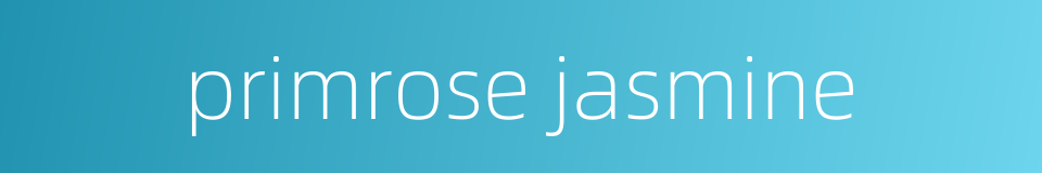 primrose jasmine的同义词