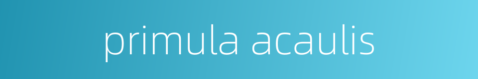 primula acaulis的同义词