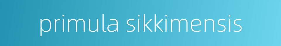 primula sikkimensis的同义词