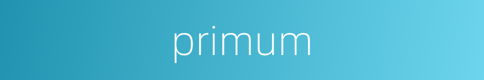 primum的同义词