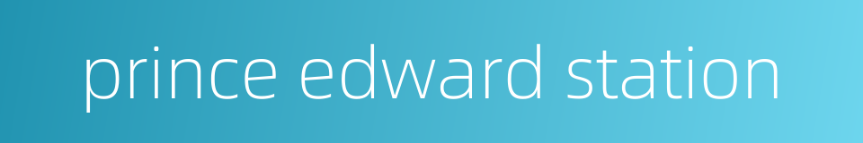 prince edward station的同义词