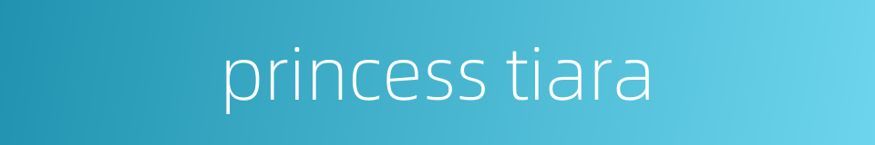 princess tiara的同义词