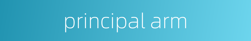 principal arm的同义词