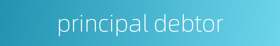 principal debtor的同义词