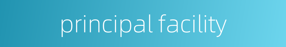 principal facility的同义词