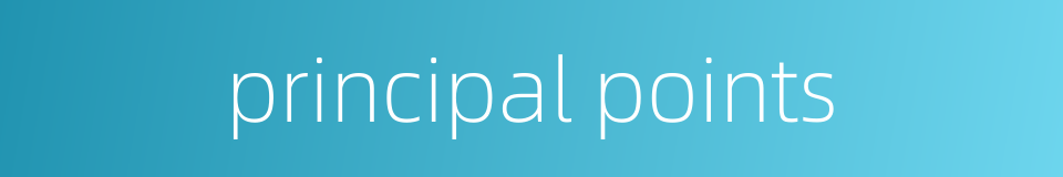 principal points的同义词