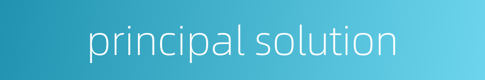 principal solution的同义词